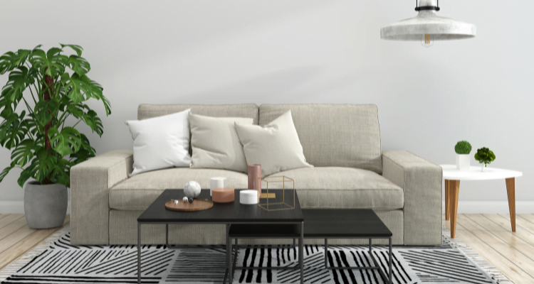 Focus on Furniture Layout